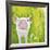 Pig-Michelle Faber-Framed Giclee Print