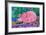 Pig-Brenda Brin Booker-Framed Giclee Print