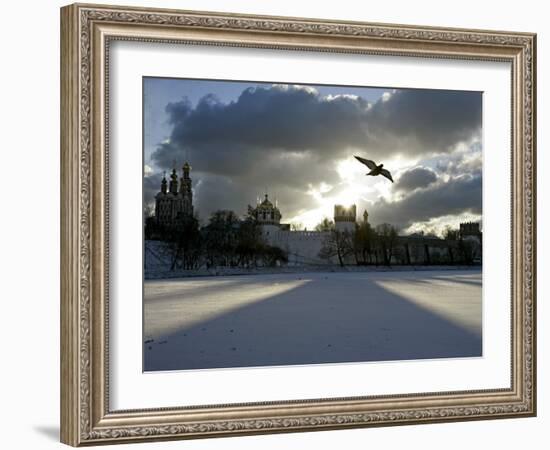 Pigeon Flies over a Frozen Pond Outside Novodevichi in Moscow-null-Framed Photographic Print