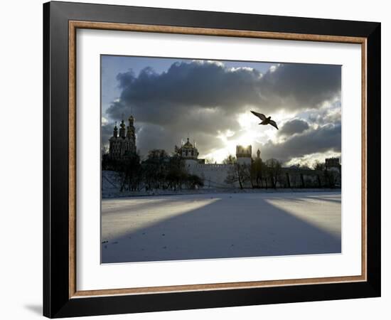 Pigeon Flies over a Frozen Pond Outside Novodevichi in Moscow-null-Framed Photographic Print