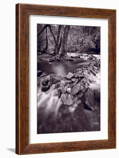 Pigeon Forge River Great Smoky Mountains BW-Steve Gadomski-Framed Photographic Print