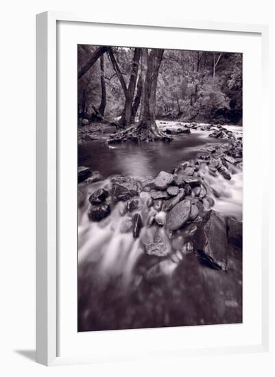 Pigeon Forge River Great Smoky Mountains BW-Steve Gadomski-Framed Photographic Print