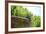 Pigeon on Sausalito Fountain, Marin County, California-Anna Miller-Framed Photographic Print