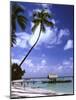 Pigeon Point beach Tobago-Charles Bowman-Mounted Photographic Print