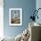 Pigeon Point Lighthouse, CA-Michael Cahill-Framed Giclee Print displayed on a wall