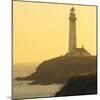 Pigeon Point Lighthouse, Santa Cruz Coast, California, USA-Tom Norring-Mounted Photographic Print