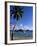 Pigeon Point, Rodney Bay, St. Lucia, Windward Islands, West Indies, Caribbean, Central America-Yadid Levy-Framed Photographic Print