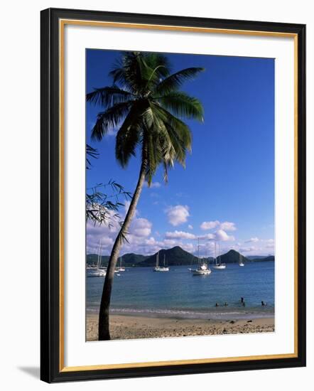 Pigeon Point, Rodney Bay, St. Lucia, Windward Islands, West Indies, Caribbean, Central America-Yadid Levy-Framed Photographic Print