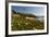 Pigeon Point Spring Vista, California-George Oze-Framed Photographic Print