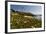 Pigeon Point Spring Vista, California-George Oze-Framed Photographic Print