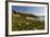 Pigeon Point Spring Vista, California-George Oze-Framed Photographic Print