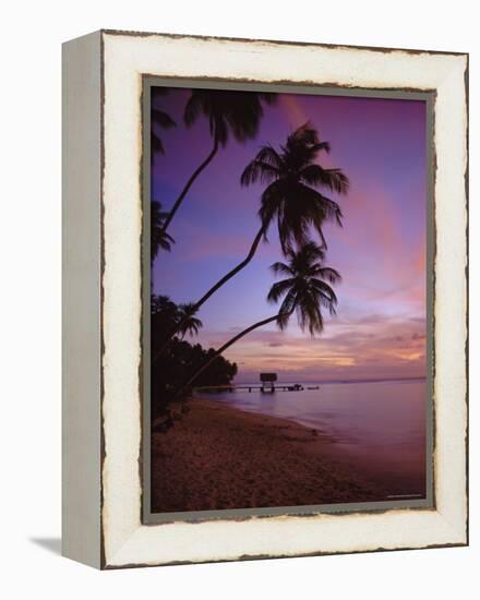 Pigeon Point, Tobago, Caribbean, West Indies-John Miller-Framed Premier Image Canvas