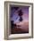 Pigeon Point, Tobago, Caribbean, West Indies-John Miller-Framed Photographic Print