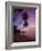 Pigeon Point, Tobago, Caribbean, West Indies-John Miller-Framed Photographic Print