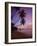 Pigeon Point, Tobago, Caribbean, West Indies-John Miller-Framed Photographic Print