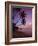 Pigeon Point, Tobago, Caribbean, West Indies-John Miller-Framed Photographic Print