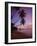 Pigeon Point, Tobago, Caribbean, West Indies-John Miller-Framed Photographic Print