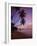 Pigeon Point, Tobago, Caribbean, West Indies-John Miller-Framed Photographic Print