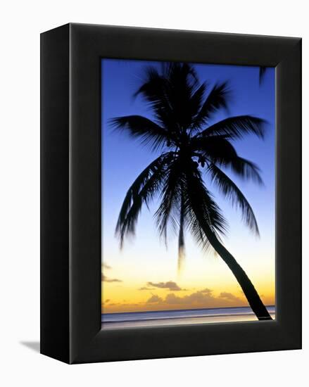 Pigeon Point, Tobago, Caribbean-Doug Pearson-Framed Premier Image Canvas