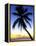 Pigeon Point, Tobago, Caribbean-Doug Pearson-Framed Premier Image Canvas