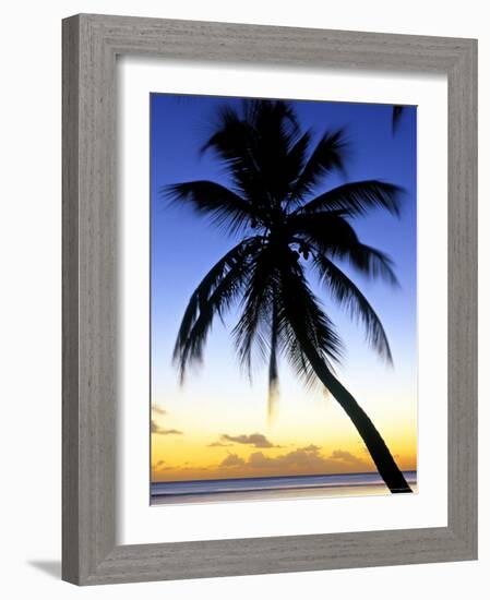 Pigeon Point, Tobago, Caribbean-Doug Pearson-Framed Photographic Print