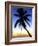 Pigeon Point, Tobago, Caribbean-Doug Pearson-Framed Photographic Print