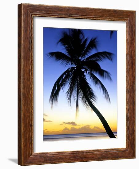 Pigeon Point, Tobago, Caribbean-Doug Pearson-Framed Photographic Print