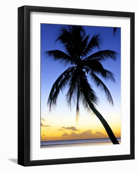 Pigeon Point, Tobago, Caribbean-Doug Pearson-Framed Photographic Print