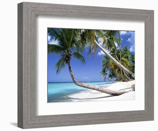 Pigeon Point, Tobago, Trinidad and Tobago-Peter Adams-Framed Photographic Print