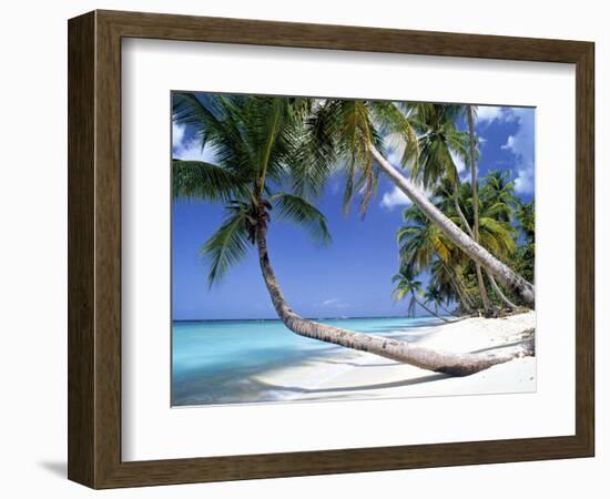 Pigeon Point, Tobago, Trinidad and Tobago-Peter Adams-Framed Photographic Print