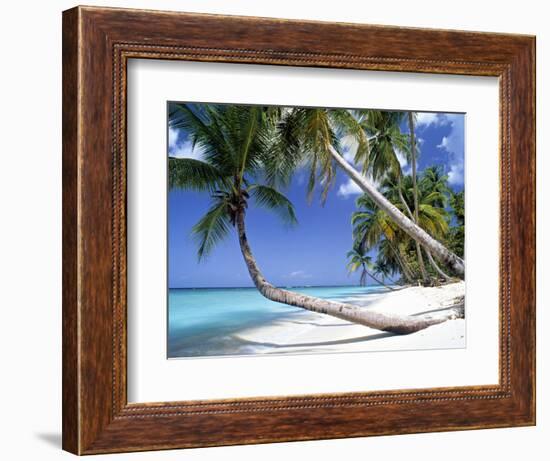 Pigeon Point, Tobago, Trinidad and Tobago-Peter Adams-Framed Photographic Print