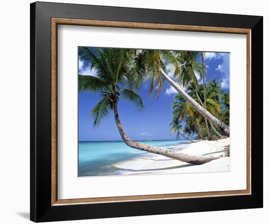 Pigeon Point, Tobago, Trinidad and Tobago-Peter Adams-Framed Photographic Print