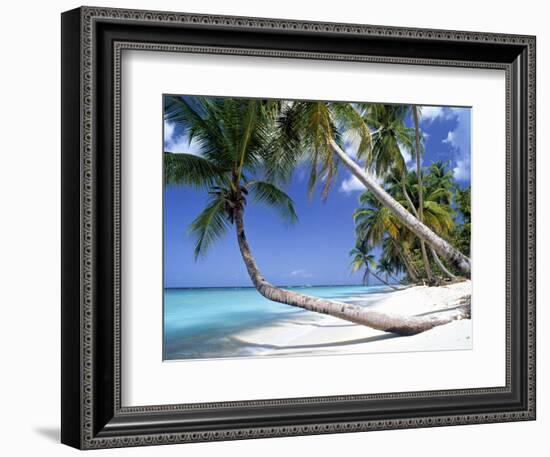 Pigeon Point, Tobago, Trinidad and Tobago-Peter Adams-Framed Photographic Print