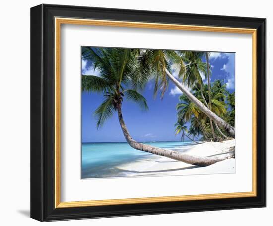 Pigeon Point, Tobago, Trinidad and Tobago-Peter Adams-Framed Photographic Print