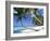 Pigeon Point, Tobago, Trinidad and Tobago-Peter Adams-Framed Photographic Print