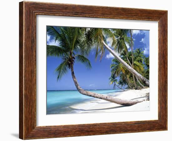 Pigeon Point, Tobago, Trinidad and Tobago-Peter Adams-Framed Photographic Print