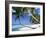 Pigeon Point, Tobago, Trinidad and Tobago-Peter Adams-Framed Photographic Print