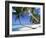 Pigeon Point, Tobago, Trinidad and Tobago-Peter Adams-Framed Photographic Print