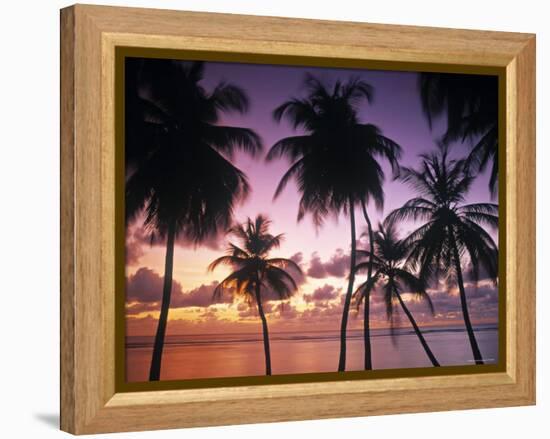 Pigeon Point, Tobago, Trinidad and Tobago-Peter Adams-Framed Premier Image Canvas