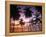 Pigeon Point, Tobago, Trinidad and Tobago-Peter Adams-Framed Premier Image Canvas