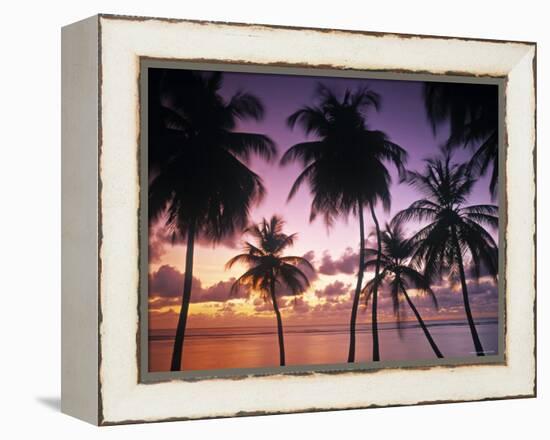 Pigeon Point, Tobago, Trinidad and Tobago-Peter Adams-Framed Premier Image Canvas