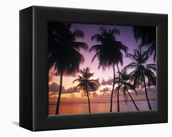 Pigeon Point, Tobago, Trinidad and Tobago-Peter Adams-Framed Premier Image Canvas