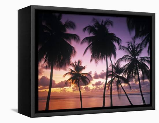 Pigeon Point, Tobago, Trinidad and Tobago-Peter Adams-Framed Premier Image Canvas