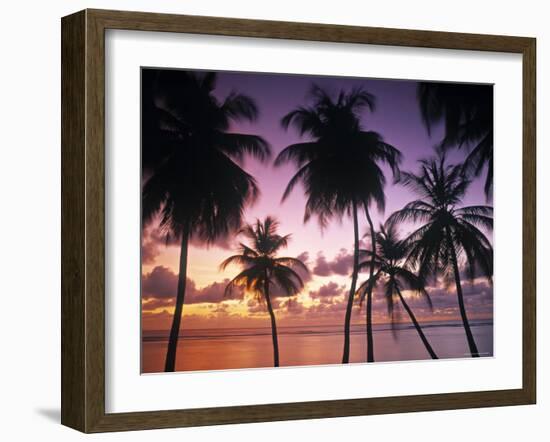 Pigeon Point, Tobago, Trinidad and Tobago-Peter Adams-Framed Photographic Print