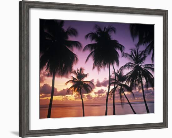 Pigeon Point, Tobago, Trinidad and Tobago-Peter Adams-Framed Photographic Print