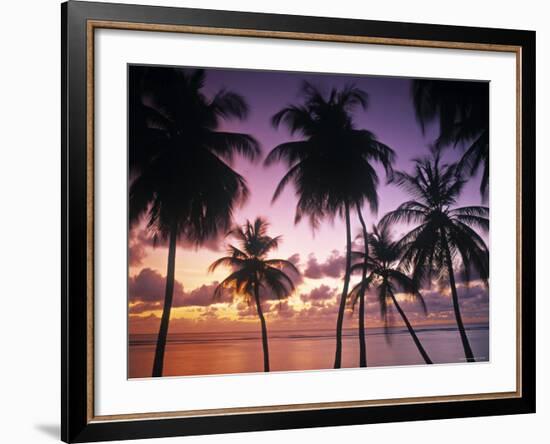 Pigeon Point, Tobago, Trinidad and Tobago-Peter Adams-Framed Photographic Print