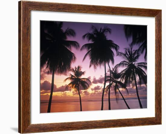 Pigeon Point, Tobago, Trinidad and Tobago-Peter Adams-Framed Photographic Print