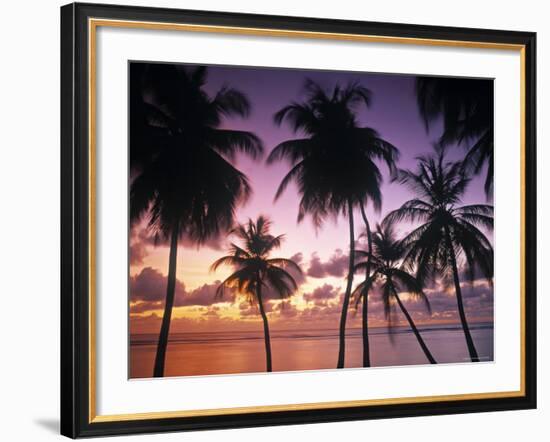 Pigeon Point, Tobago, Trinidad and Tobago-Peter Adams-Framed Photographic Print