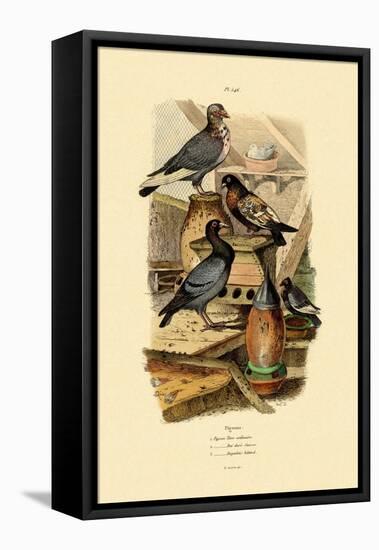 Pigeons, 1833-39-null-Framed Premier Image Canvas