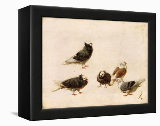 Pigeons, 1888-Jose Ruiz Blasco-Framed Premier Image Canvas